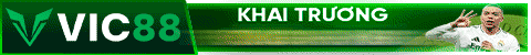 top banner